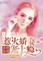 破云3擒川 淮上