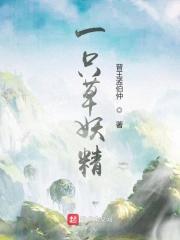 卡牌与冒险完整版