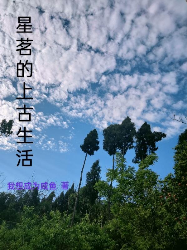 无敌天下黄小龙全文阅读