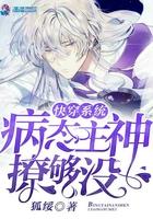 我真不是盖世高人 百科