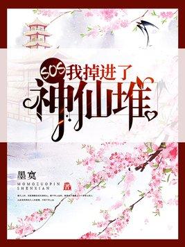 傻柱子的四合院阅读