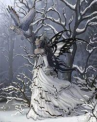 宝路天行完整版