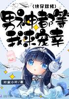 星骸骑士完结篇